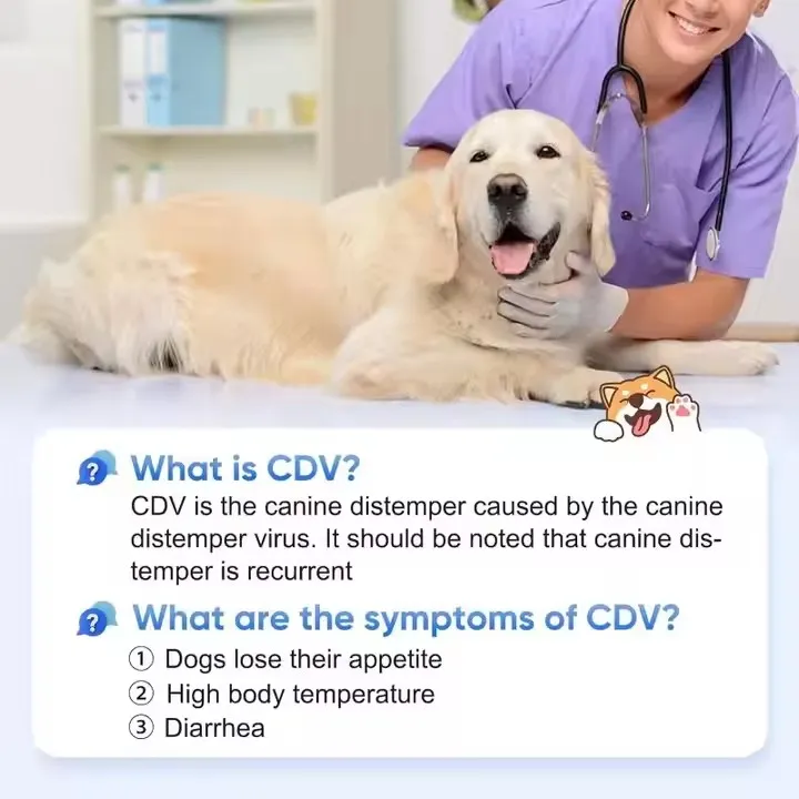 Canine CDV Ag Rapid Test Kit | Canine Distemper Virus Antigen/veterinary test Kits | Veterinary Clinic Diagnostic Strips 7