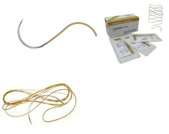 Absorbable Sutures surgical Chromic Catgut(CC) Sterile Medical Disposable Sutures Thread With Needle 5