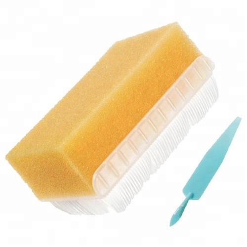 Sterile surgical scrub brush with CE,ISO