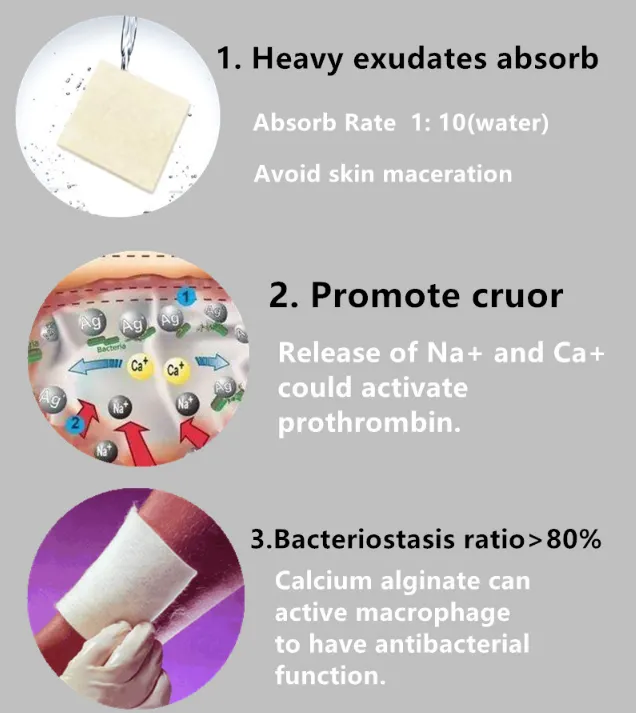 Medical Sterile Calcium Alginate Wound Dressing Individually Wrapped 5