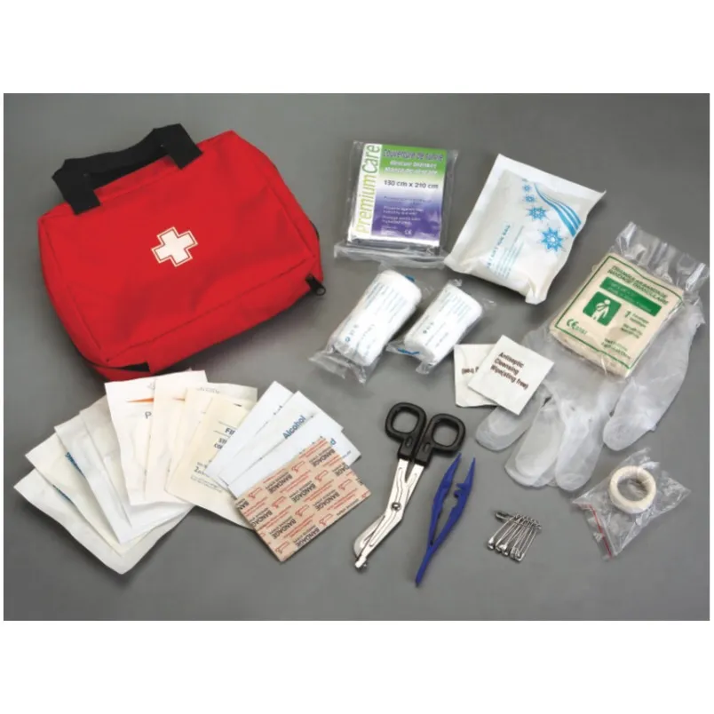 emergency medical first aid