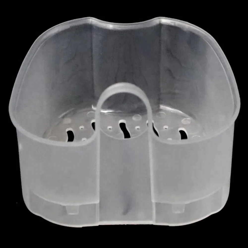 blue denture box.jpg