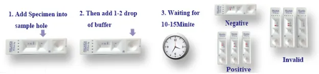 diagnostic malaria rapid test kit
