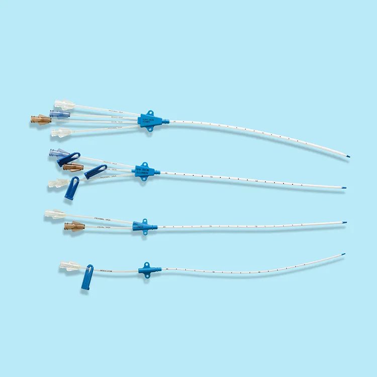 1-2-3-4 lumen Central Venous Catheter.JPG